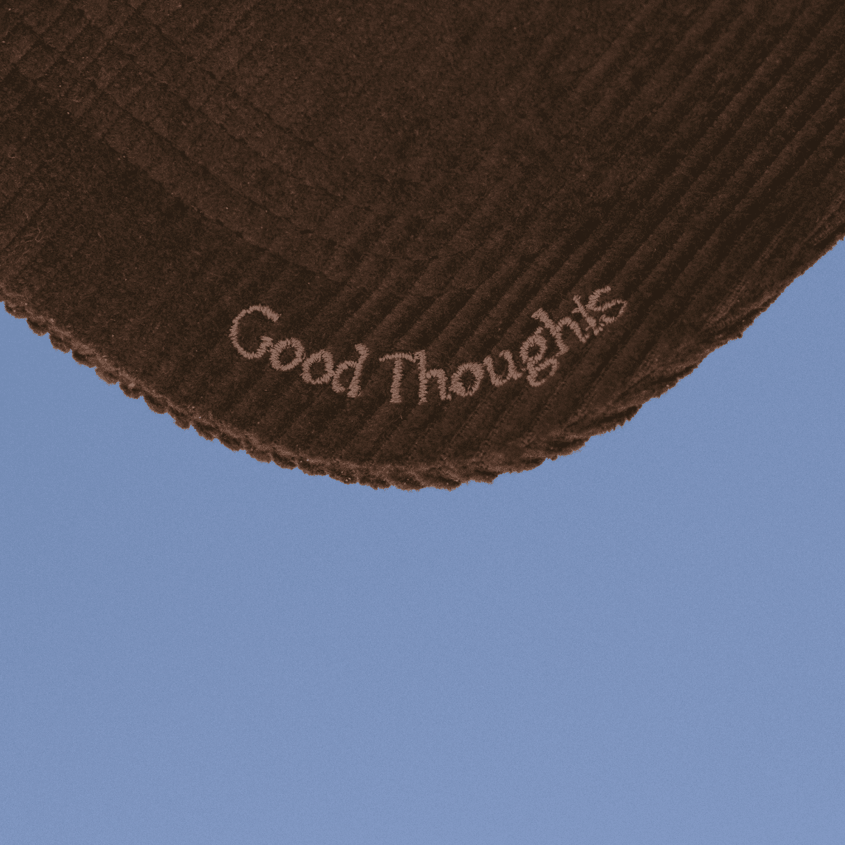 Good thoughts embroidery on eco by sonya corduroy cap